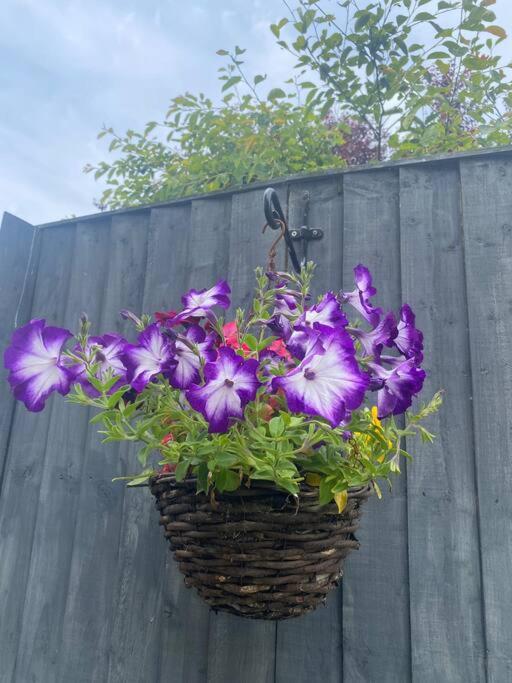 Rural Cosy Retreat For Two Near Port Isaac Apartment Delabole ภายนอก รูปภาพ